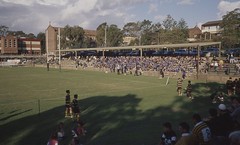 St Patricks College, Strathfield, Rugby